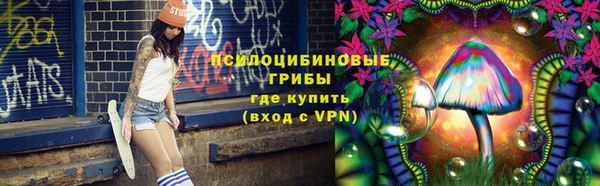 мдпв Медногорск