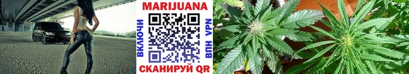 Купить  Щигры  Марихуана OG Kush 
